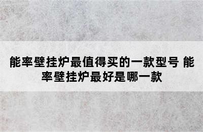 能率壁挂炉最值得买的一款型号 能率壁挂炉最好是哪一款